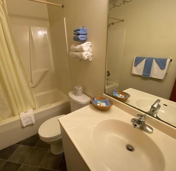 Студия Deluxe, Birchwood Inn