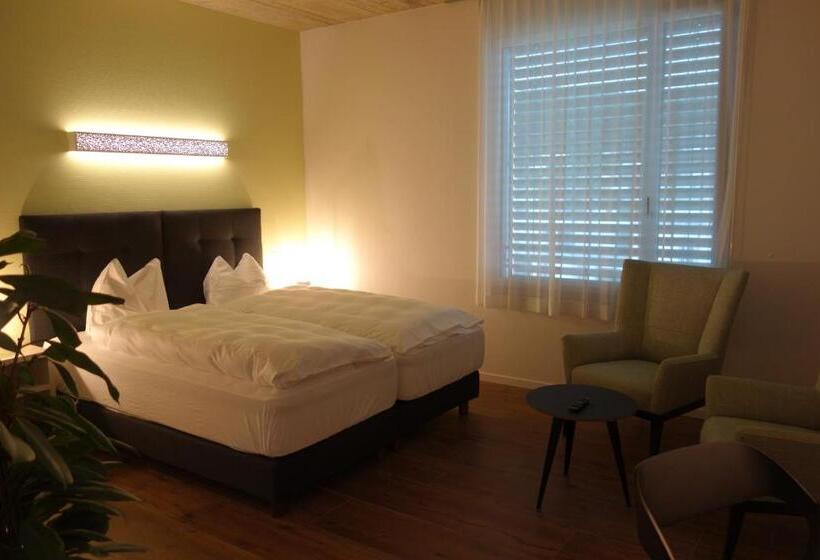 Номер Deluxe, Partner Hotel Ag Zofingen