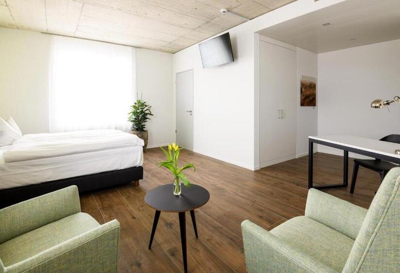 Номер Deluxe, Partner Hotel Ag Zofingen