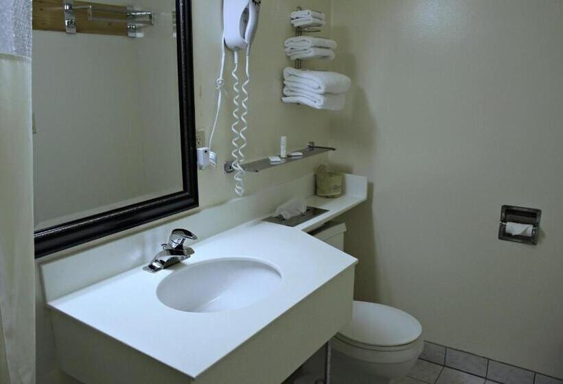 スタンダードルーム, Budget Inn   Farmington