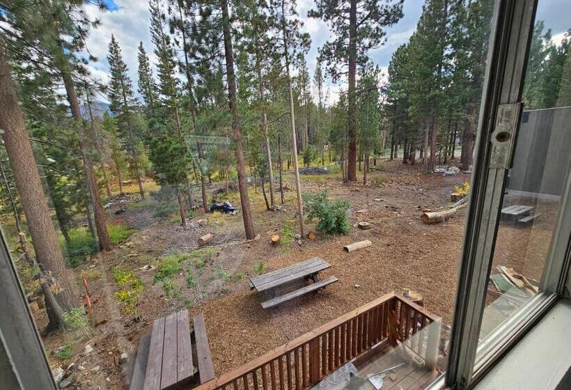 Люкс Superior, Cinnamon Bear Inn