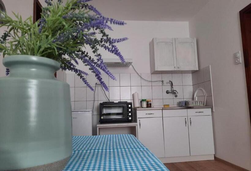 شقة غرفة واحدة, Apartmani Sunflower