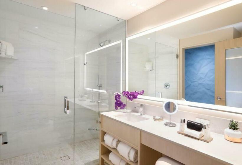 اتاق دلوکس مخصوص معلولین, Hall Arts Hotel Dallas, Curio Collection By Hilton