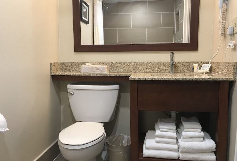 발코니가 있는 스위트, Comfort Inn Edgewater On Hudson River