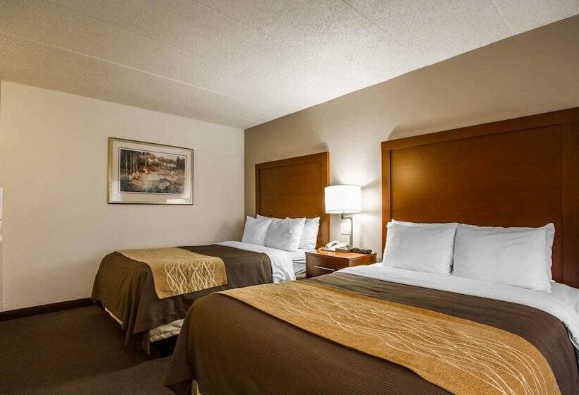 Номер Стандарт 2 Двуспальные Кровати, Comfort Inn & Suites Madison  Airport