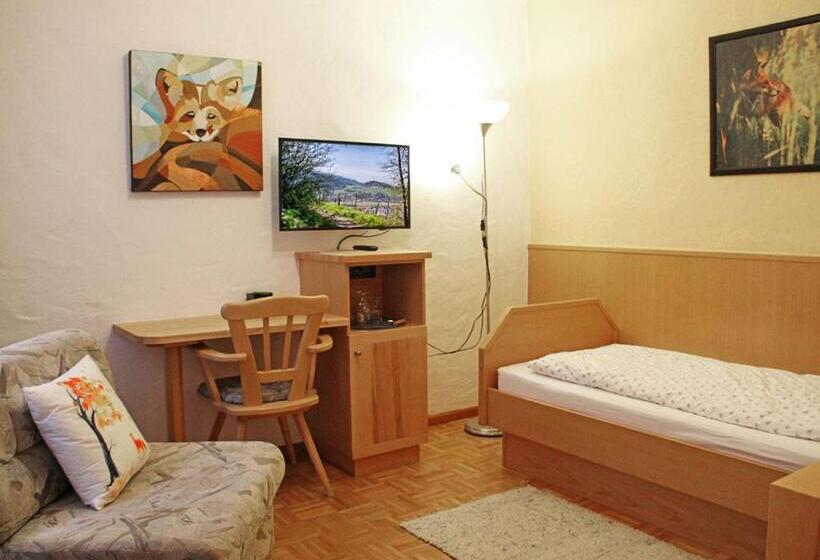 스탠다드 싱글 룸, Bio Gasthaus Am Felsenkeller