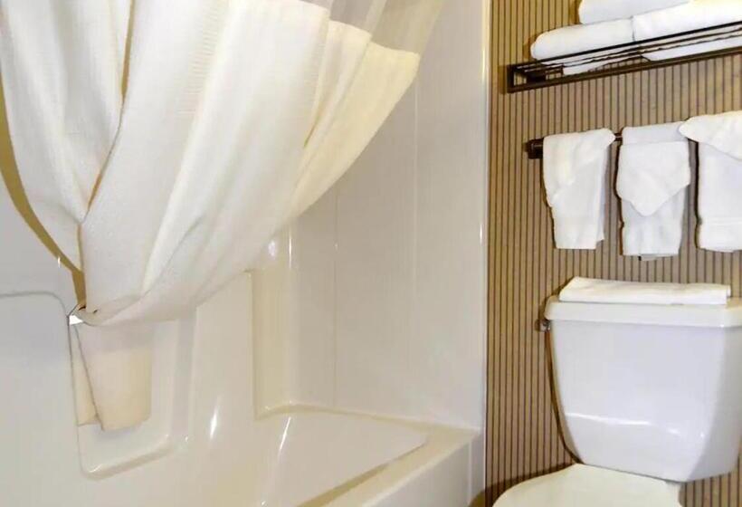 Студио Стандарт Кровать Кинг, Norwood Inn & Suites Eagan St Paul & Mall Of America