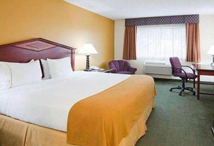 Стандартный Номер Кровать Кинг, Norwood Inn & Suites Eagan St Paul & Mall Of America