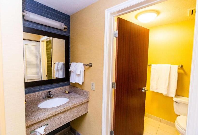 Стандартный Номер Кровать Кинг, Best Western Plus Provo University Inn