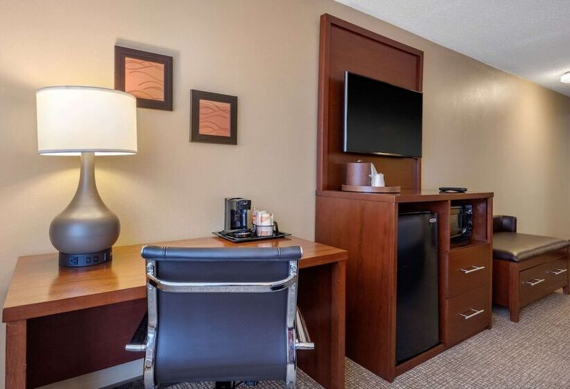Camera Standard 2 Letti Matrimoniali, Comfort Inn Memphis Downtown