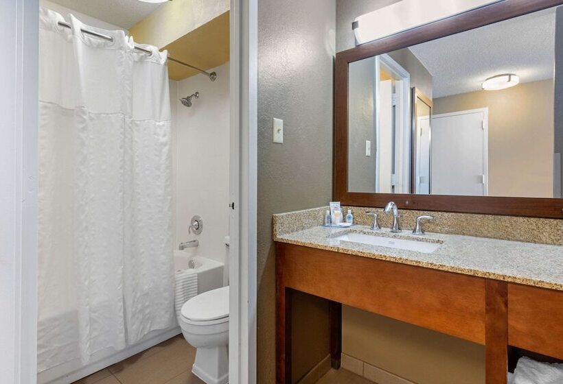 Camera Standard 2 Letti Matrimoniali, Comfort Inn Memphis Downtown