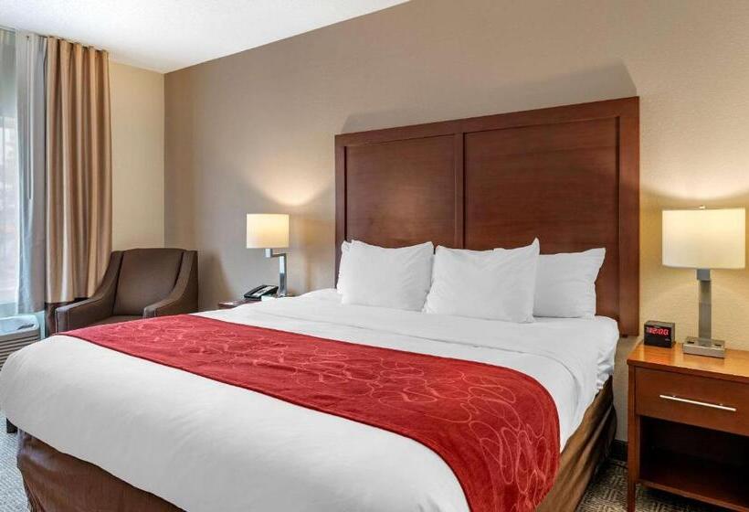 스탠다드 룸 킹사이즈 침대, Comfort Suites Columbus West Hilliard