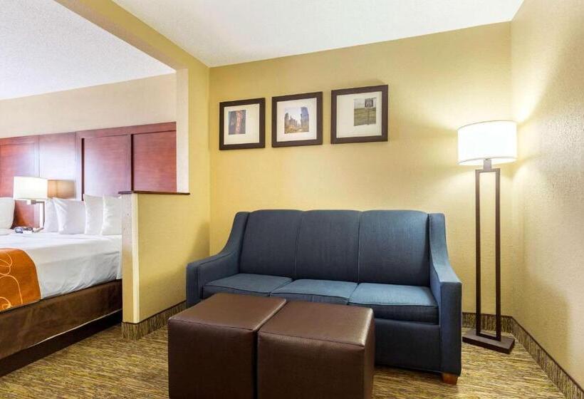 套房, Comfort Suites Near I 80 And I 94