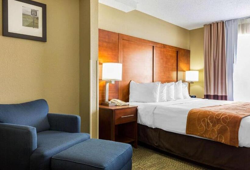 带大床的套房, Comfort Suites Near I 80 And I 94