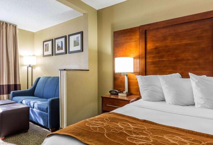 带大床的套房, Comfort Suites Near I 80 And I 94