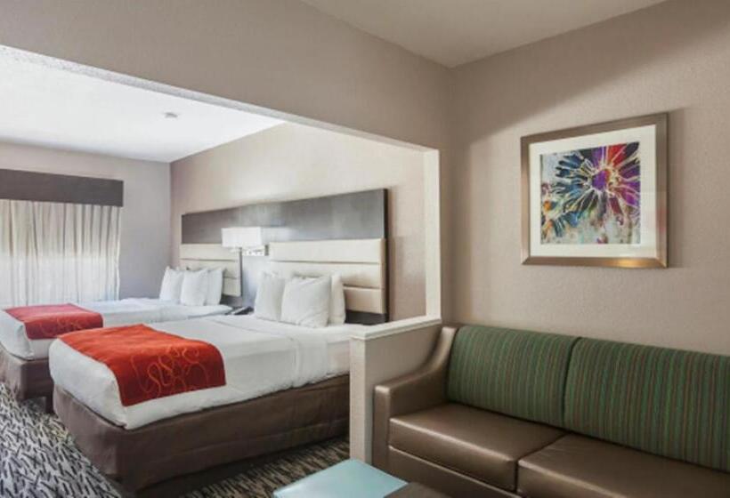 Люкс Адаптированный для Инвалидов, Comfort Suites Lewisville