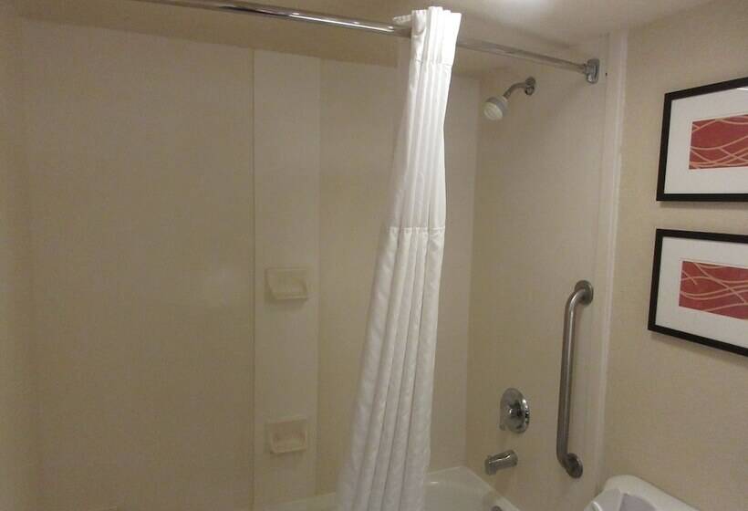 适合残疾人士使用的套间, Comfort Suites Miami  Kendall
