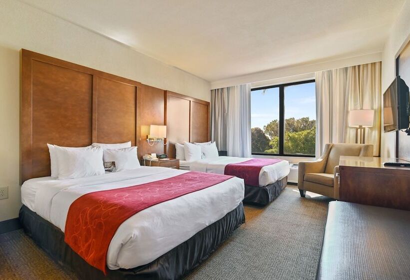 套房, Comfort Suites Miami  Kendall
