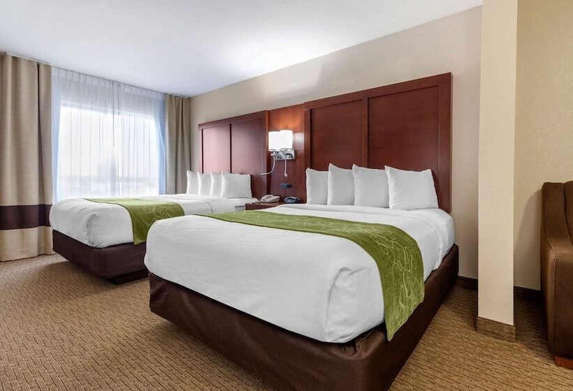 سوییت لوکس, Comfort Suites Omaha Eastcouncil Bluffs