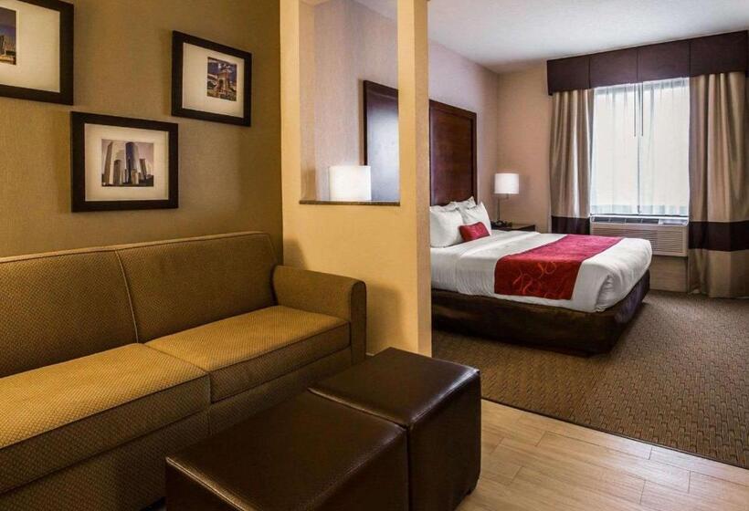 디럭스 스위트 킹 침대, Comfort Suites Stafford Near Sugarland