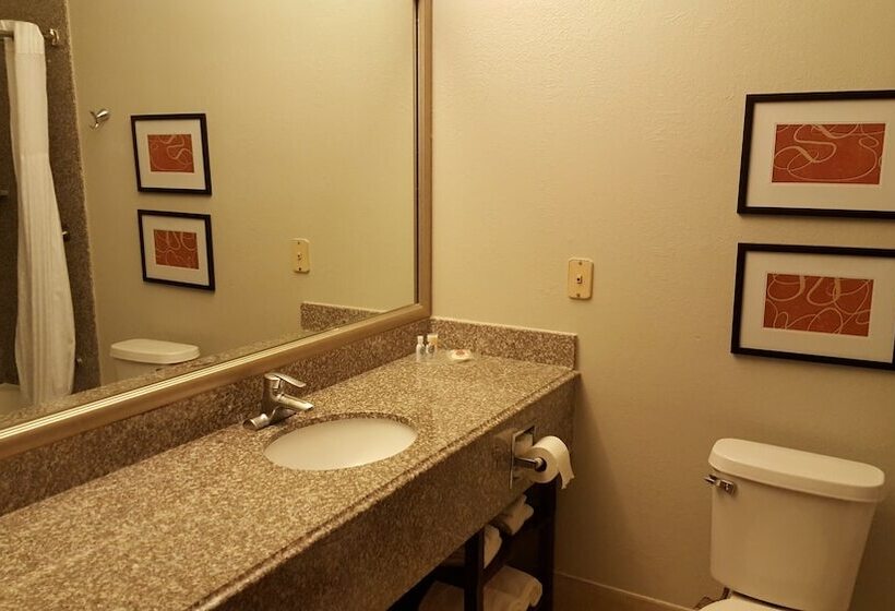 스위트 킹사이즈 침대, Comfort Suites Stafford Near Sugarland