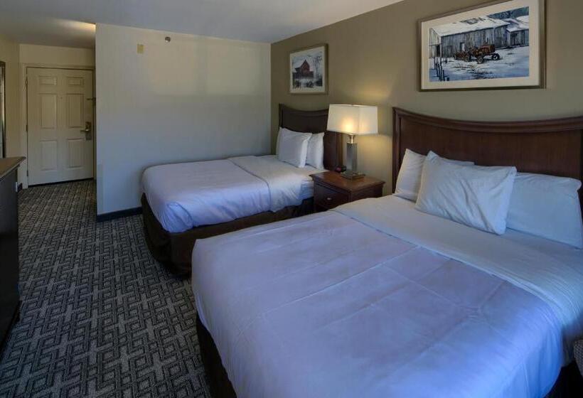 Deluxe Room, Country Inn At The Mall