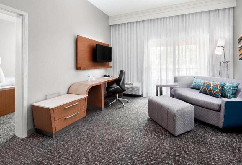 سوئیت با تخت بزرگ, Courtyard Bowling Green Convention Center