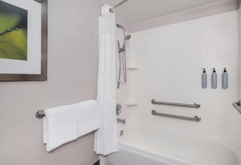 장애인을 위한 퀸사이즈 스탠다드 룸, Courtyard Tampa North/i75 Fletcher