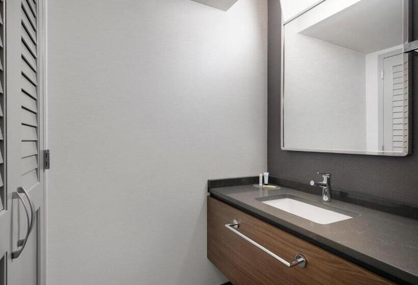 장애인을 위한 퀸사이즈 스탠다드 룸, Courtyard Tampa North/i75 Fletcher