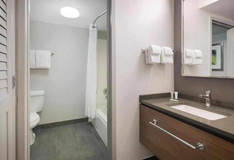스탠다드 룸 더블 침대 2개, Courtyard Tampa North/i75 Fletcher