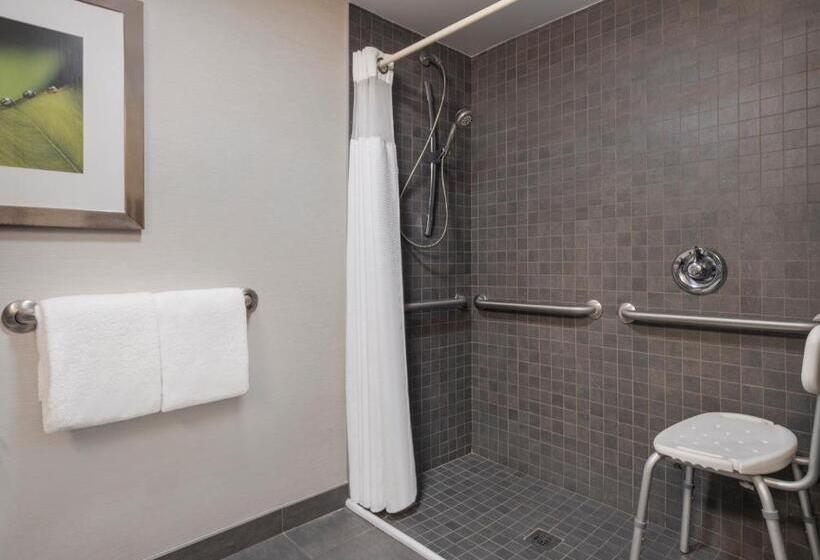장애인을 위한 킹사이즈 침대 스탠다드 룸, Courtyard Tampa North/i75 Fletcher