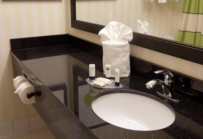 Camera Standard Letto King, Fairfield Inn & Suites By Marriott Memphis East Galleria