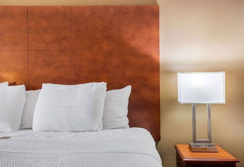 Президентский Люкс, La Quinta Inn By Wyndham Decatur Alabama