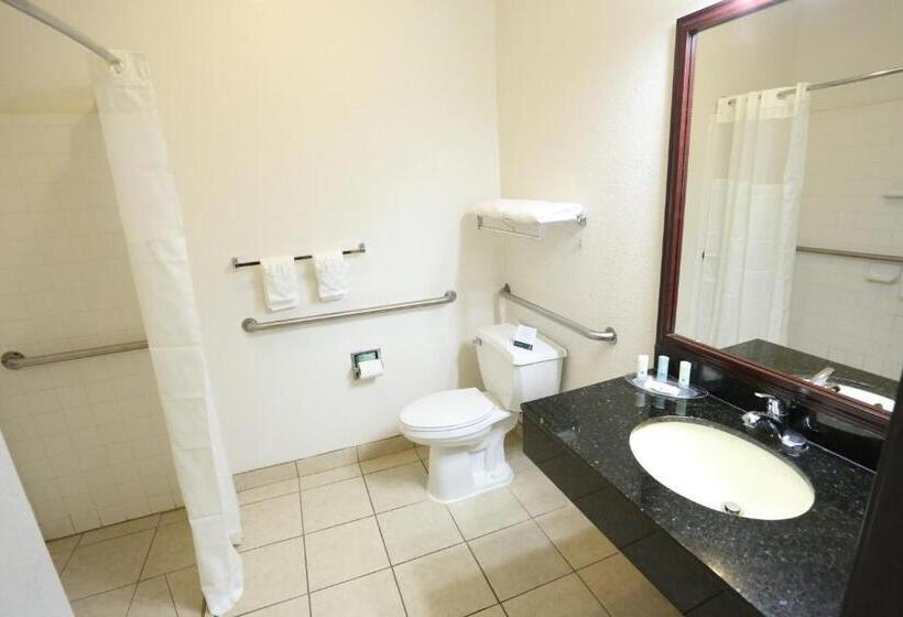 Люкс Адаптированный для Инвалидов, Quality Suites Burleson   Ft Worth