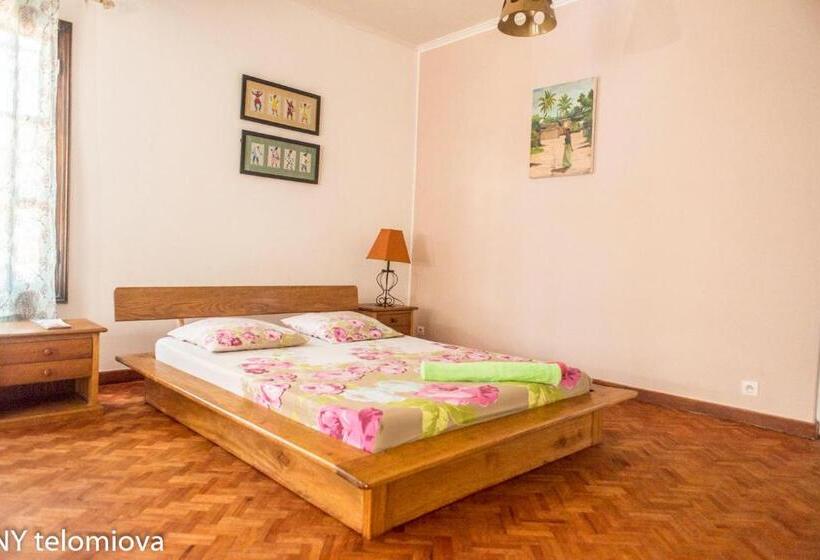 اتاق استاندارد, Ny Telomiova