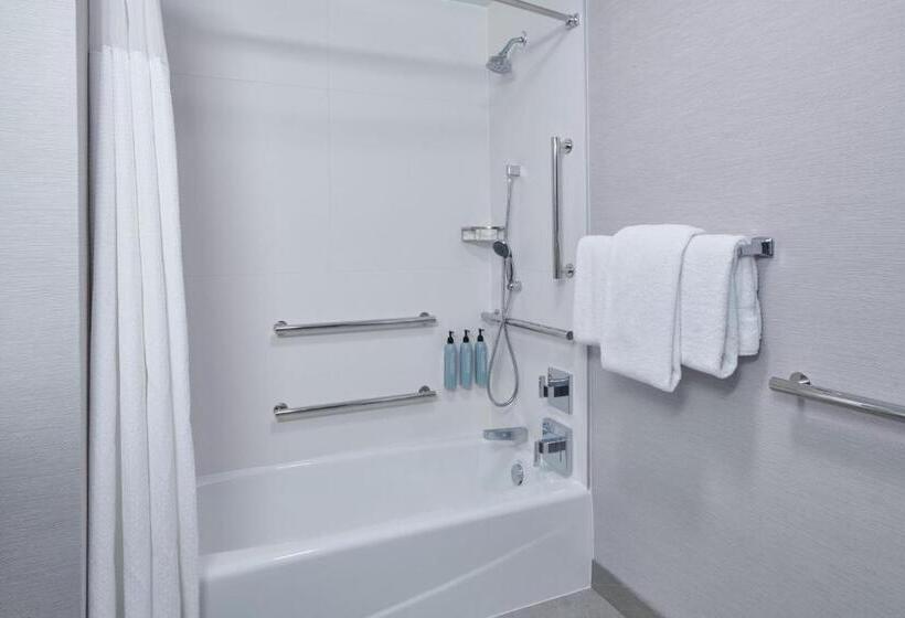 스탠다드 룸, Courtyard By Marriott Detroit Livonia