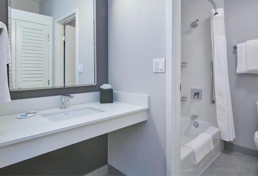 Люкс Кровать Кинг, Courtyard By Marriott Detroit Livonia