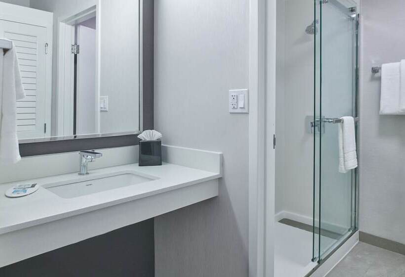 스위트, Courtyard By Marriott Detroit Livonia