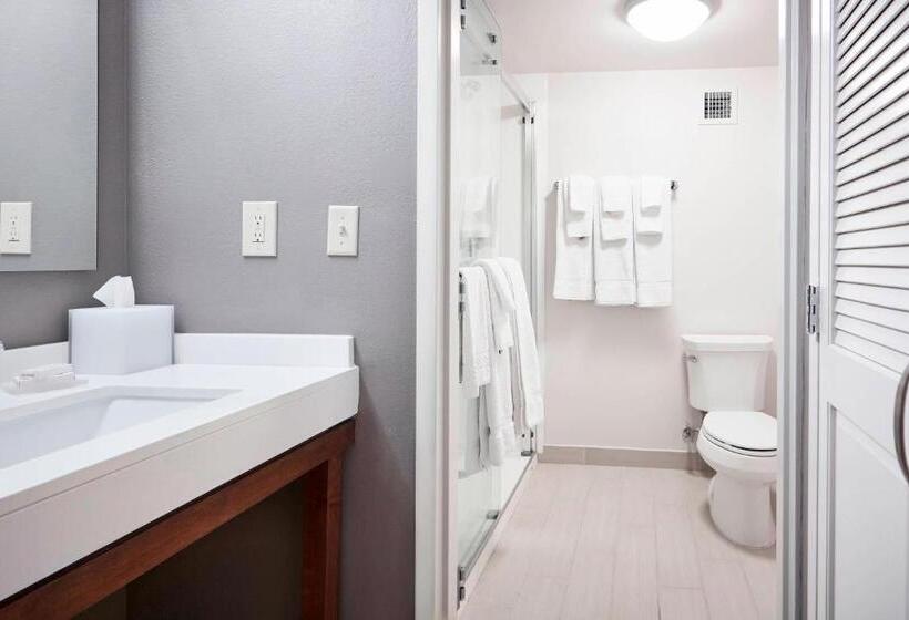 اتاق استاندارد با تخت بزرگ, Courtyard Cincinnati Airport South/florence