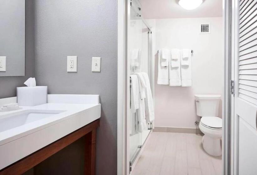 اتاق استاندارد با تخت بزرگ, Courtyard Cincinnati Airport South/florence