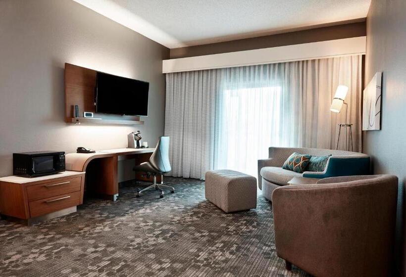 اتاق استاندارد با تخت بزرگ, Courtyard Cincinnati Airport South/florence