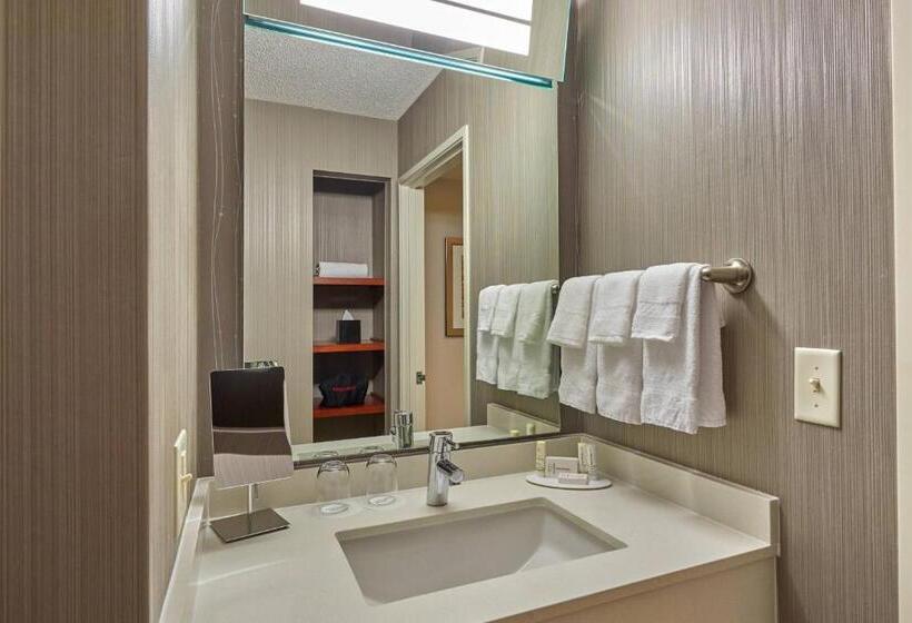 Стандартный Номер Кровать Кинг, Courtyard By Marriott Eugene Springfield