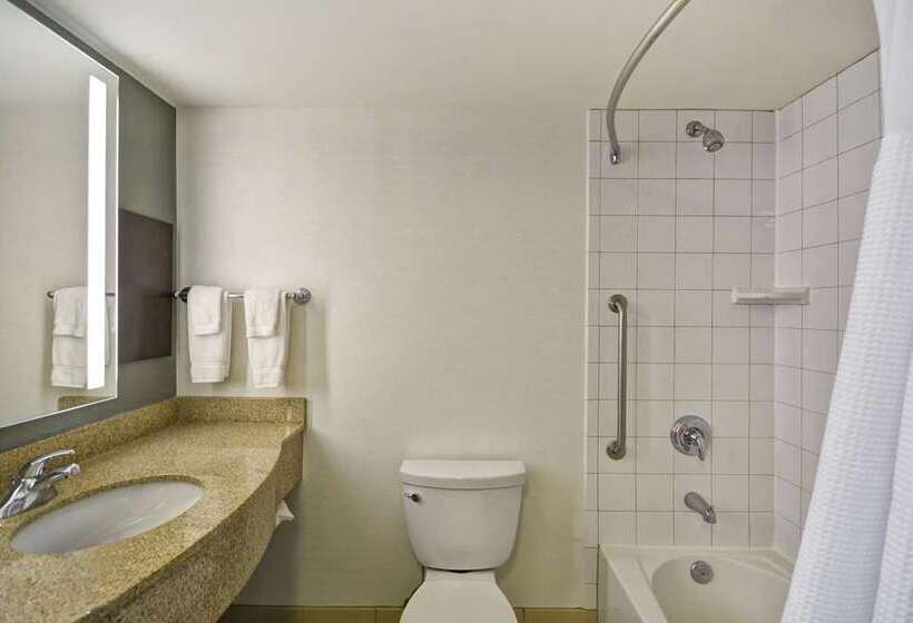 스탠다드 룸 킹사이즈 침대, Hilton Boston/ Woburn