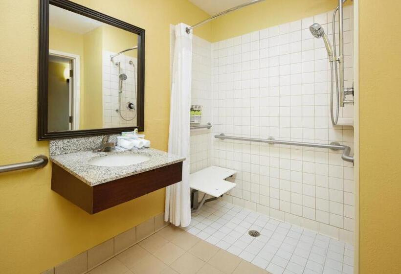 Номер Стандарт Кровать Кинг Адаптированный для Инвалидов, Holiday Inn Express Tifton, An Ihg