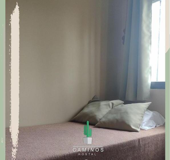 Номер Стандарт, Caminos Hostal