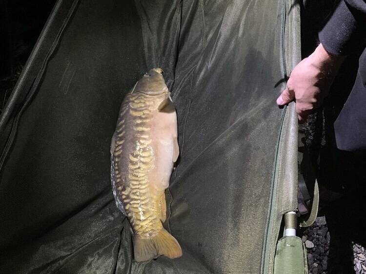Апартаменты Комфорт 1 Спальня, Lakeside Fishing Lodges
