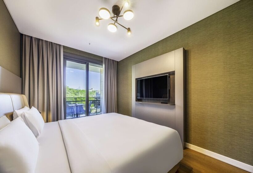 带1个卧室的公寓, Radisson Residences, Vadistanbul