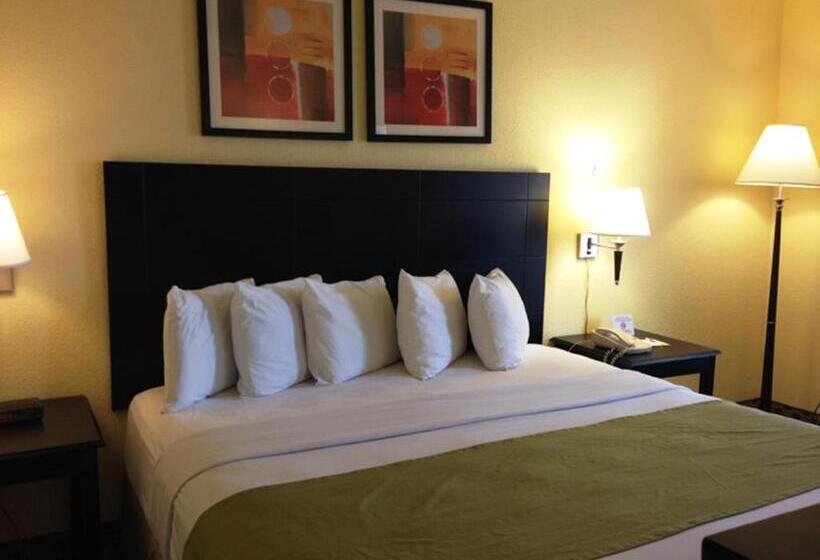Suíte Cama King, Days Inn By Wyndham Irving Grapevine Dfw Airport North