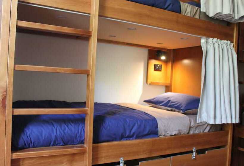 Vuode Makuusalissa, Haka Lodge Ponsonby   Hostel