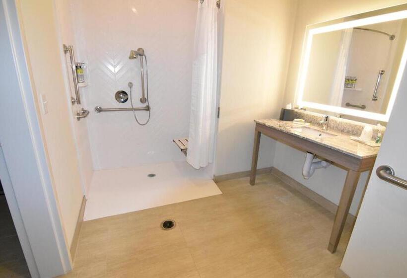 适合残疾人士使用的带超级大床的标准间, Holiday Inn   Kansas City   Northeast, An Ihg